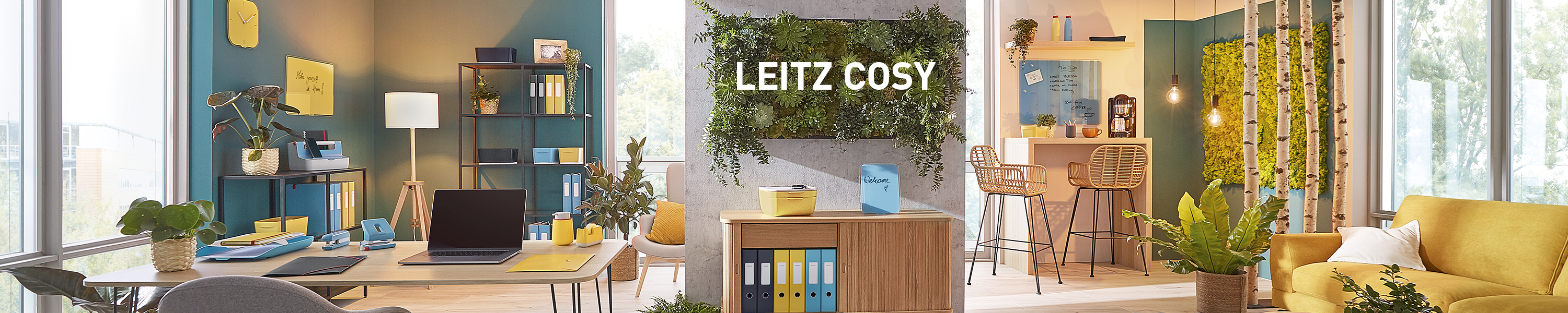 Mingea ergonomică Leitz